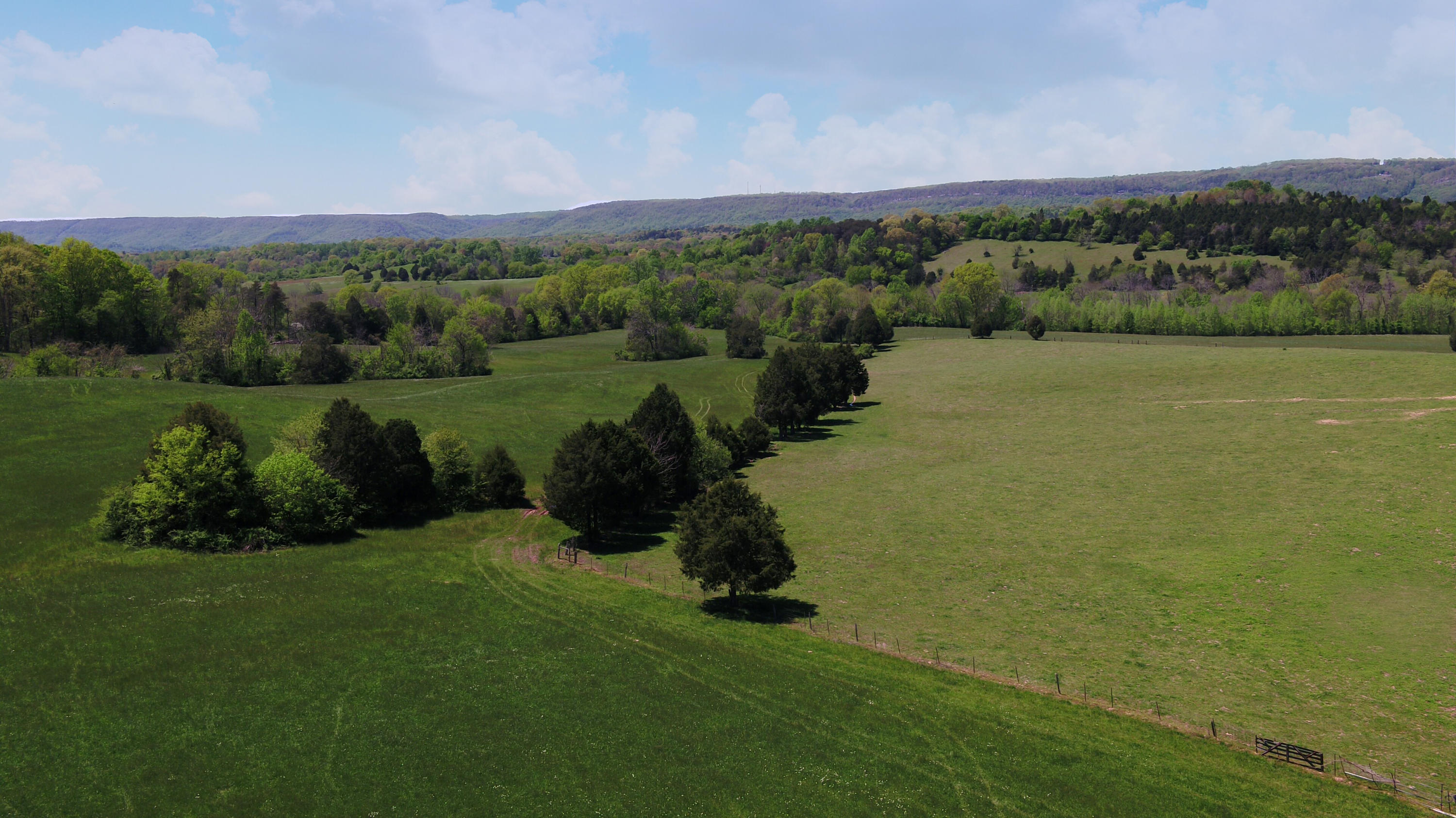 128-ac Jim Grasham Road Spring City, TN 37381 - Photo 3 of 7 Ariel 3