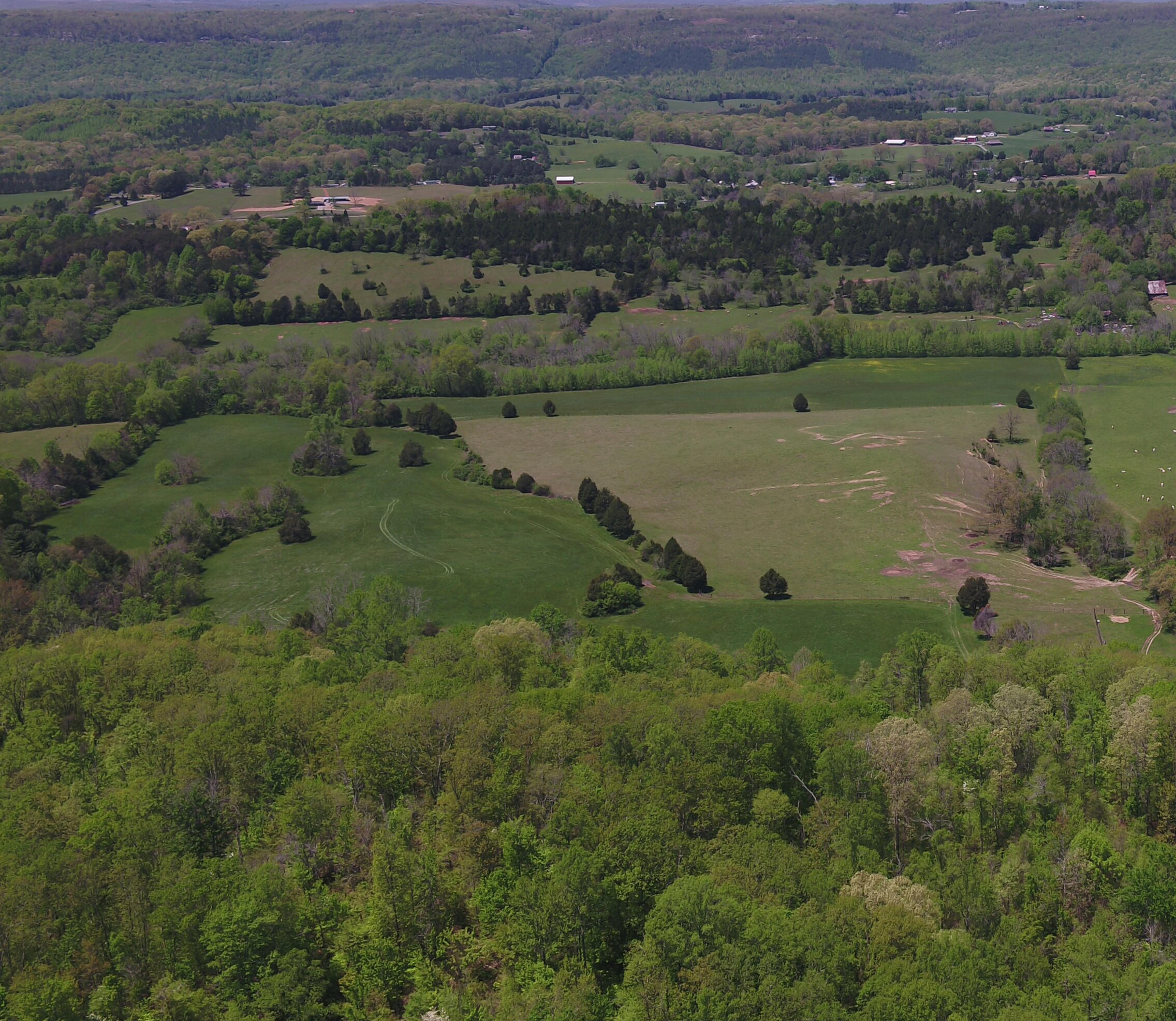 128-ac Jim Grasham Road Spring City, TN 37381 - Photo 5 of 7 Ariel 5