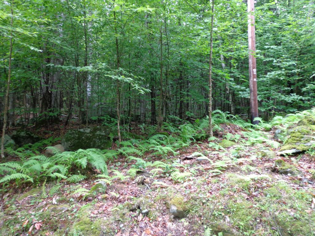 56-86 Sands Of Time Road Canaan, NH 03741 - Photo 11 of 14