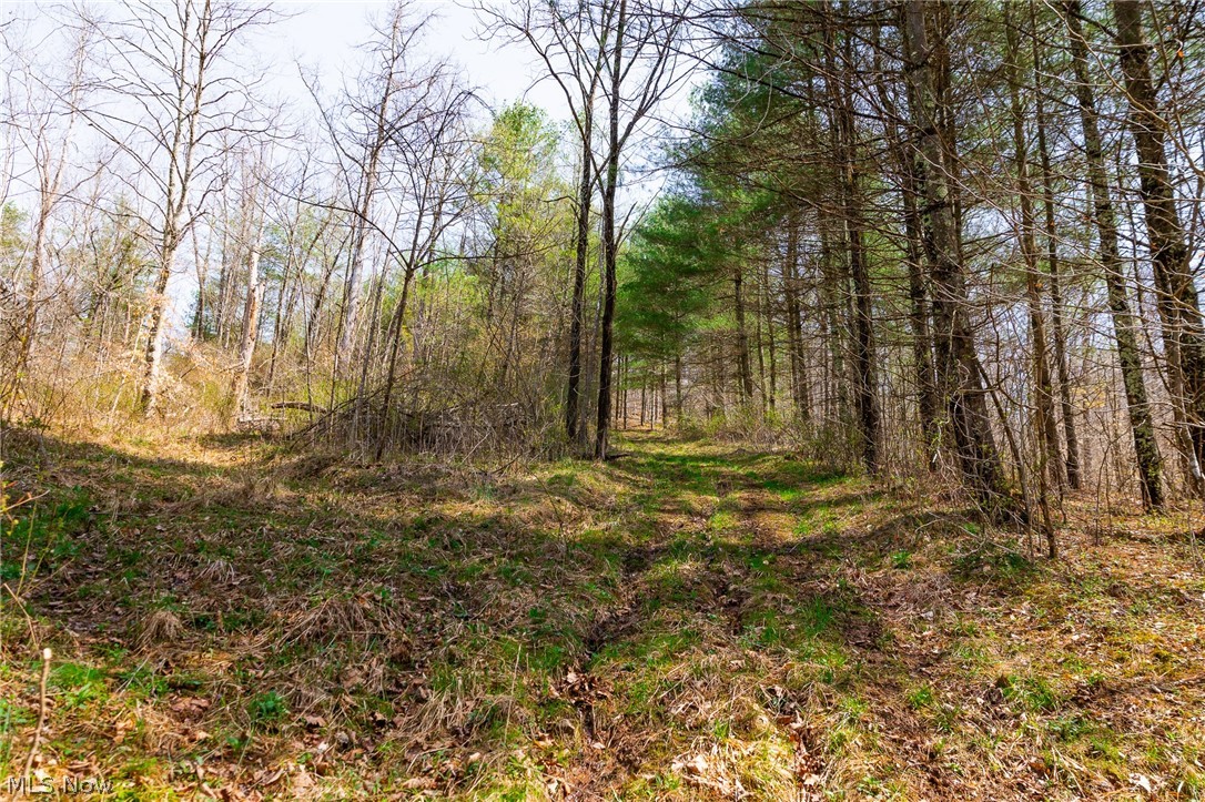 East Branch Road Lowell, OH 45744 - Photo 13 of 29