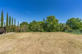 a view of a field with plants and trees