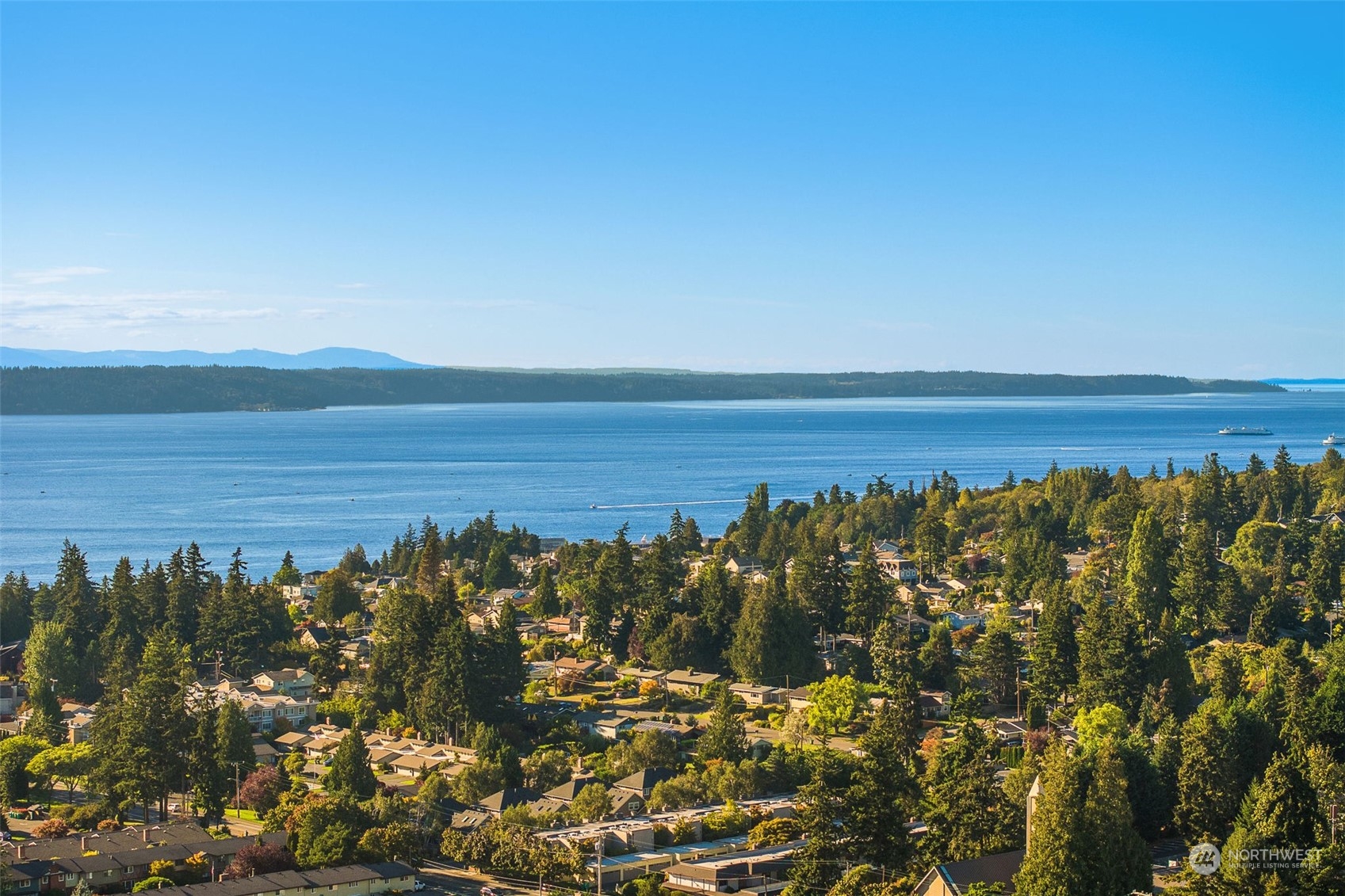 1243 Northwest Richmond Beach Road Shoreline, WA 98177 - Photo 40 of 40 a view of a large body of water with a mountain