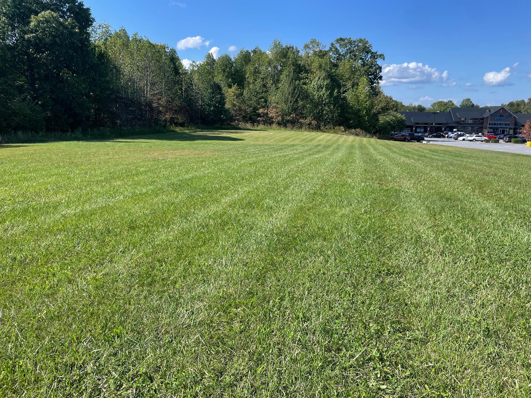 Lot 1 Moneta Road Moneta, VA 24121 - Photo 13 of 22 a view of a field with a tree in the background