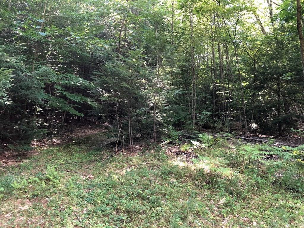 Tbd Tbd Beaver Dam Road New Gloucester, ME 04260 - Photo 2 of 2 Photo