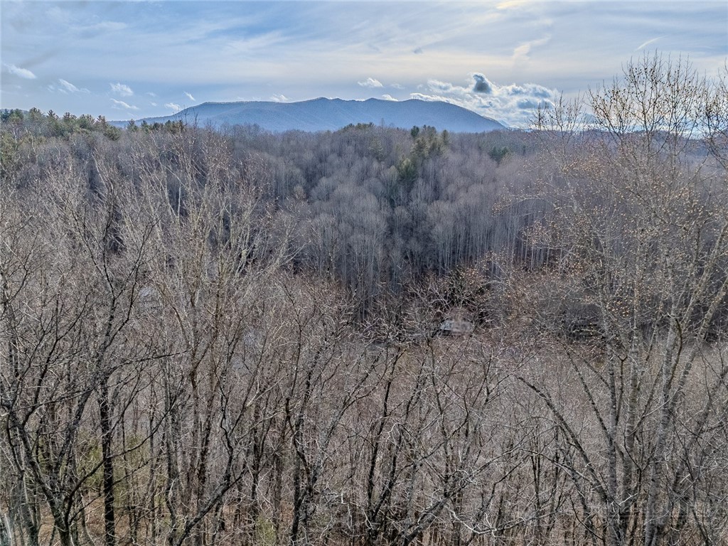 9 Haven Ridge Road Lansing, NC 28643 - Photo 11 of 22
