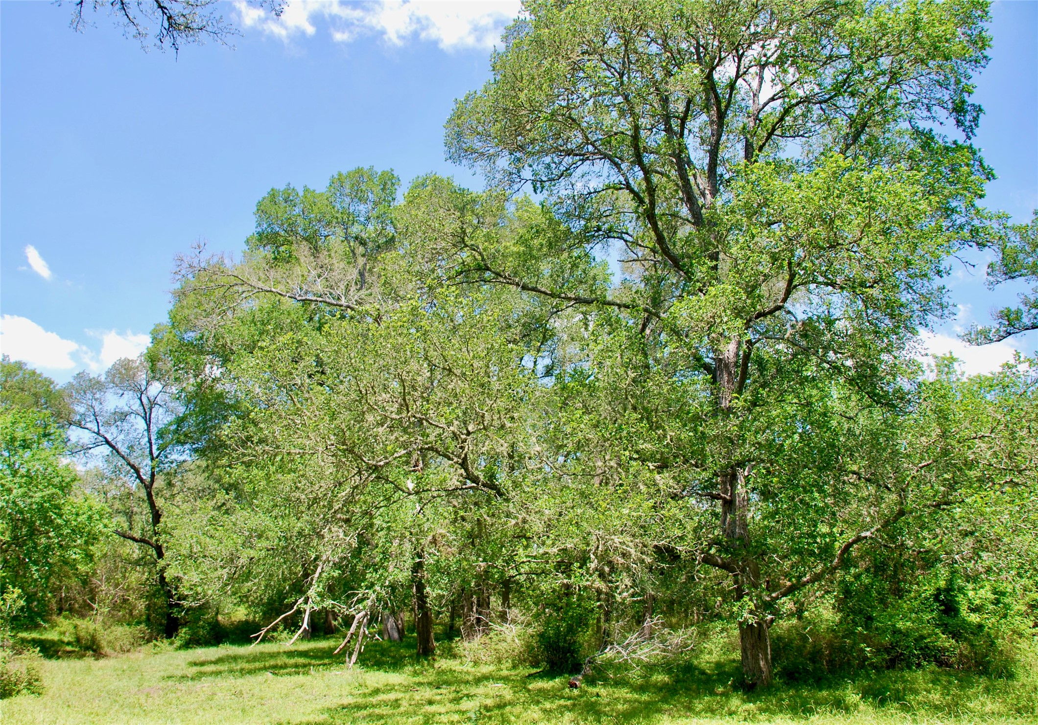 2340 Langdon Road Weimar, TX 78962 - Photo 15 of 26