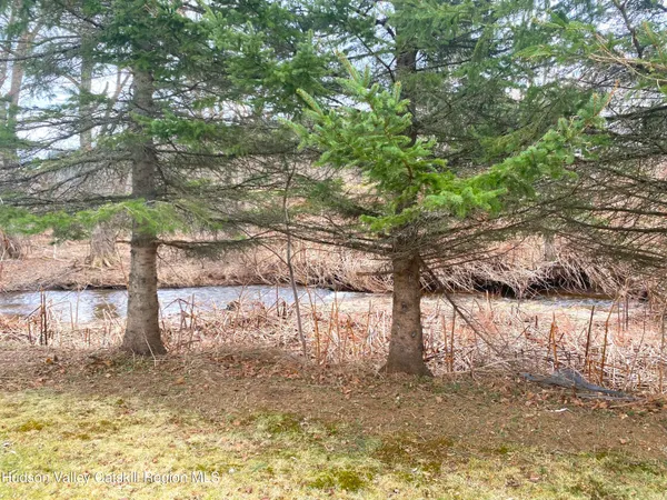 a view of yard with trees