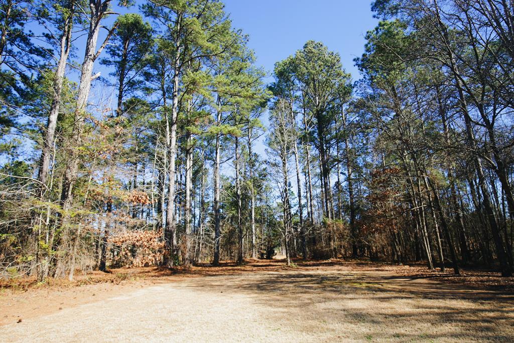 316 Keels Road West Hodges, SC 29653 - Photo 56 of 67