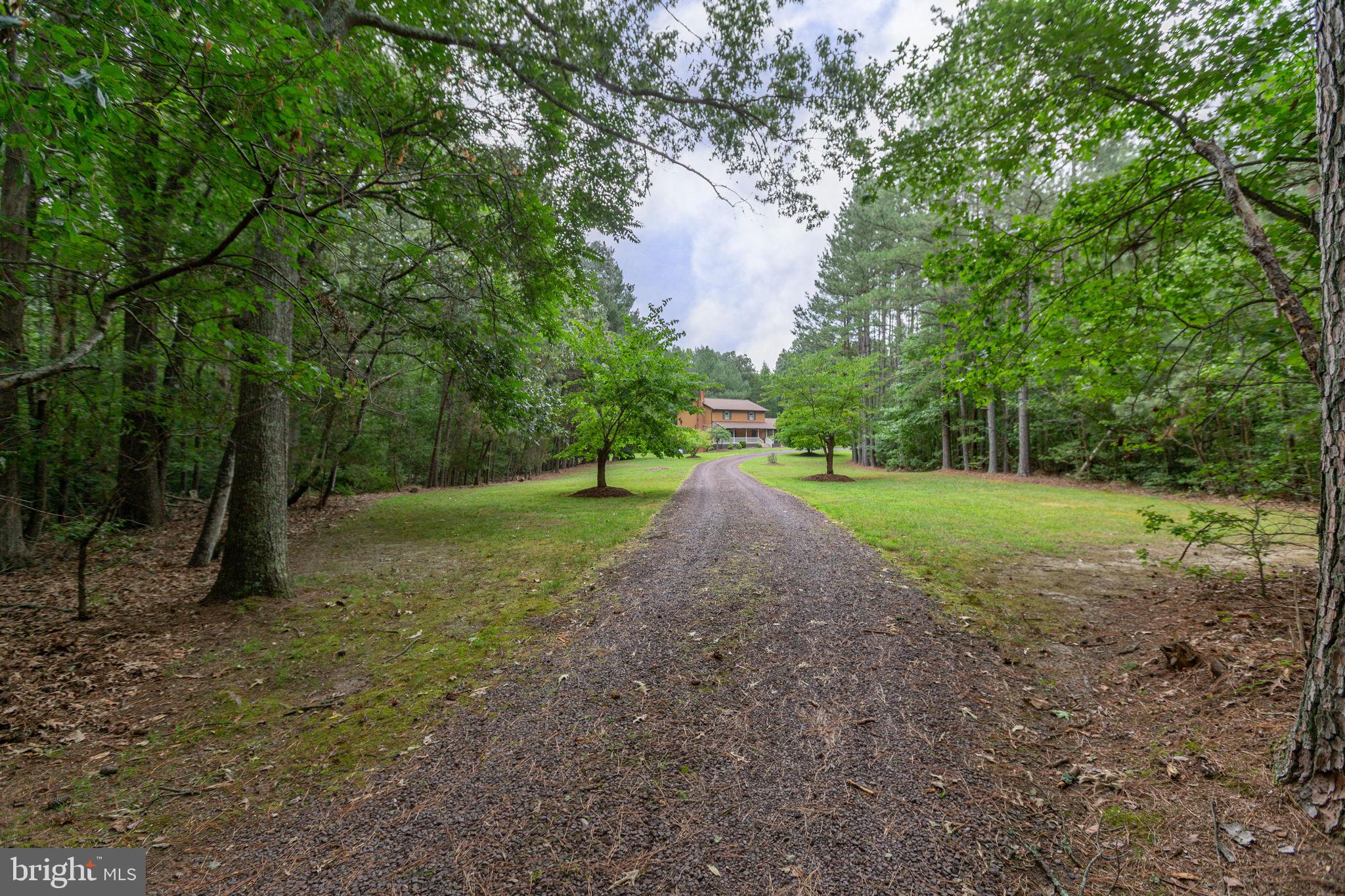11051 Alden Road King George, VA 22485 - Photo 2 of 82 Driveway