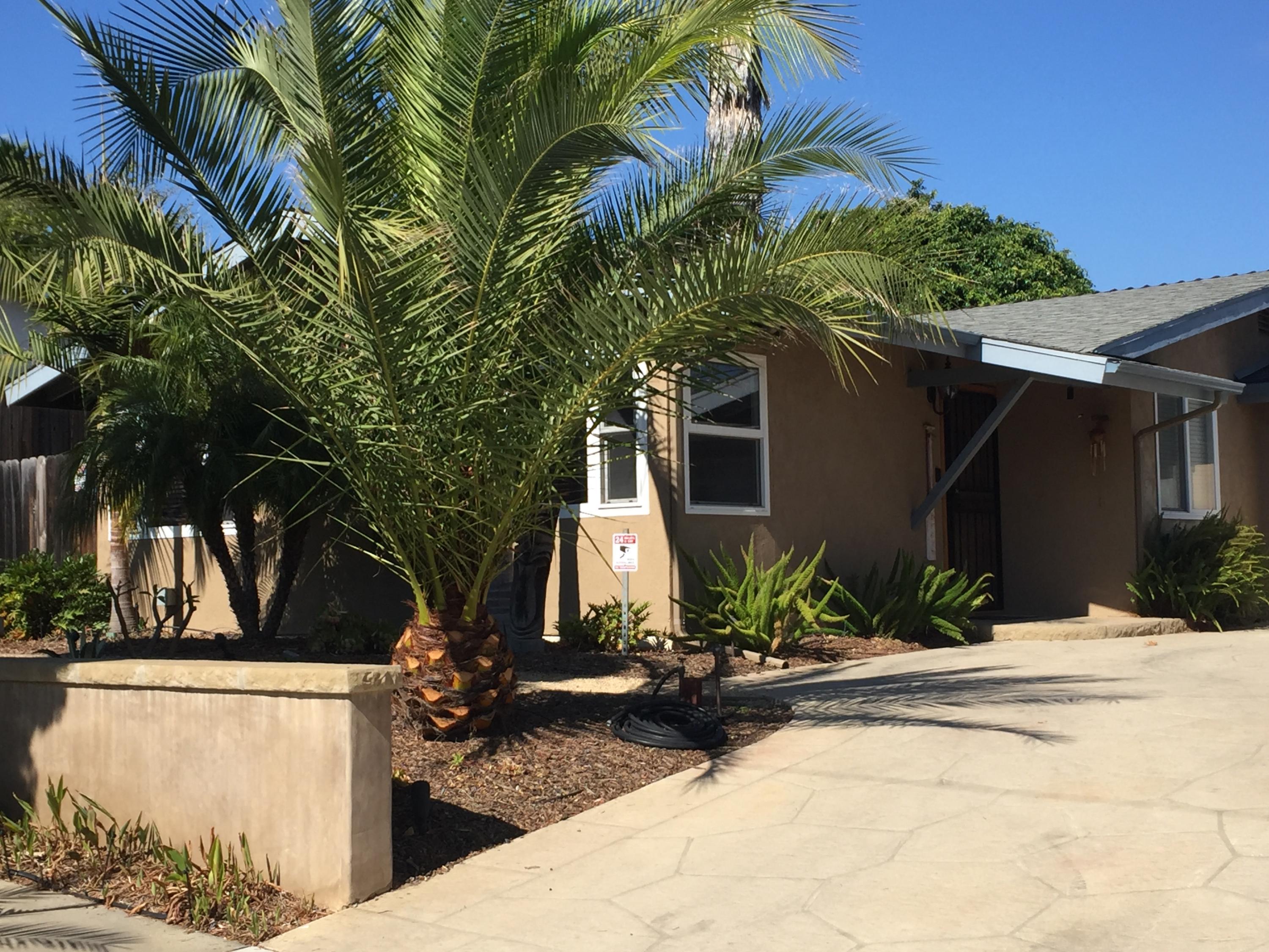 7020 Del Norte Drive Goleta, CA 93117 - Photo 3 of 8 a view of a backyard with plants and palm trees