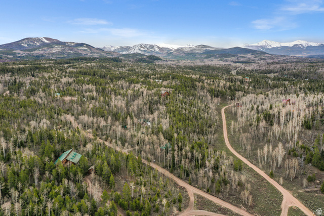 4725 Pine Ridge Road Evanston, UT 82930 - Photo 70 of 82 Expansive wooded property featuring a prominent main residence with a green metal roof, surrounded by mature evergreen and deciduous trees, and framed by distant snow-capped mountains