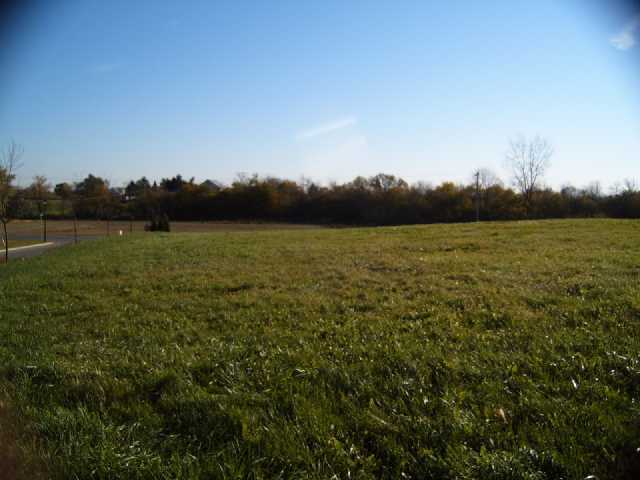 11675 Walker Road, Unit LOT 1 Commercial Point, OH 43116 - Photo 3 of 12