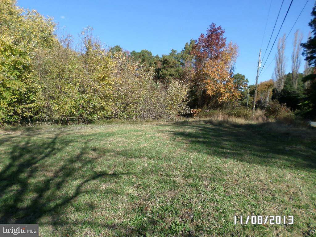 10835 Mahlon Price Road Deal Island, MD 21821 - Photo 3 of 12