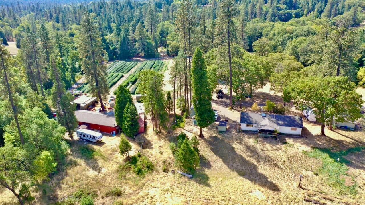 6534 Tunnel Loop Road Grants Pass, OR 97526 - Photo 50 of 54 99988FE0FCCF40ABE325A75A3573221A