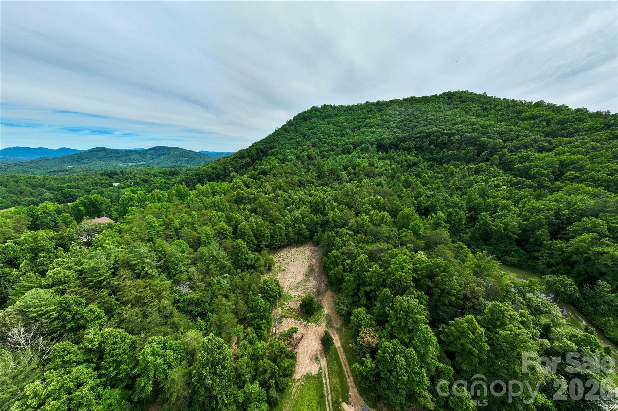 9999 Morgan Branch Road Weaverville, NC 28787 - Photo 18 of 24