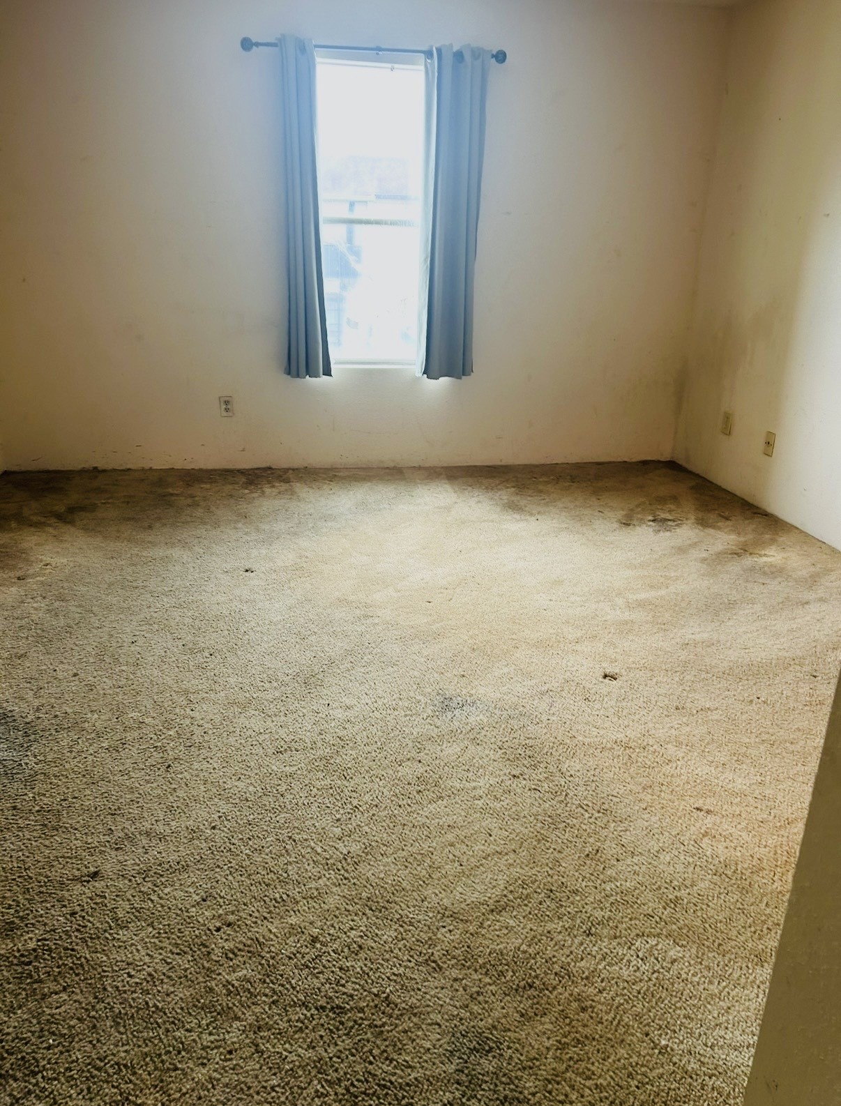 6161 Reims Road, Unit 1013 Houston, TX 77036 - Photo 11 of 11 Bedroom