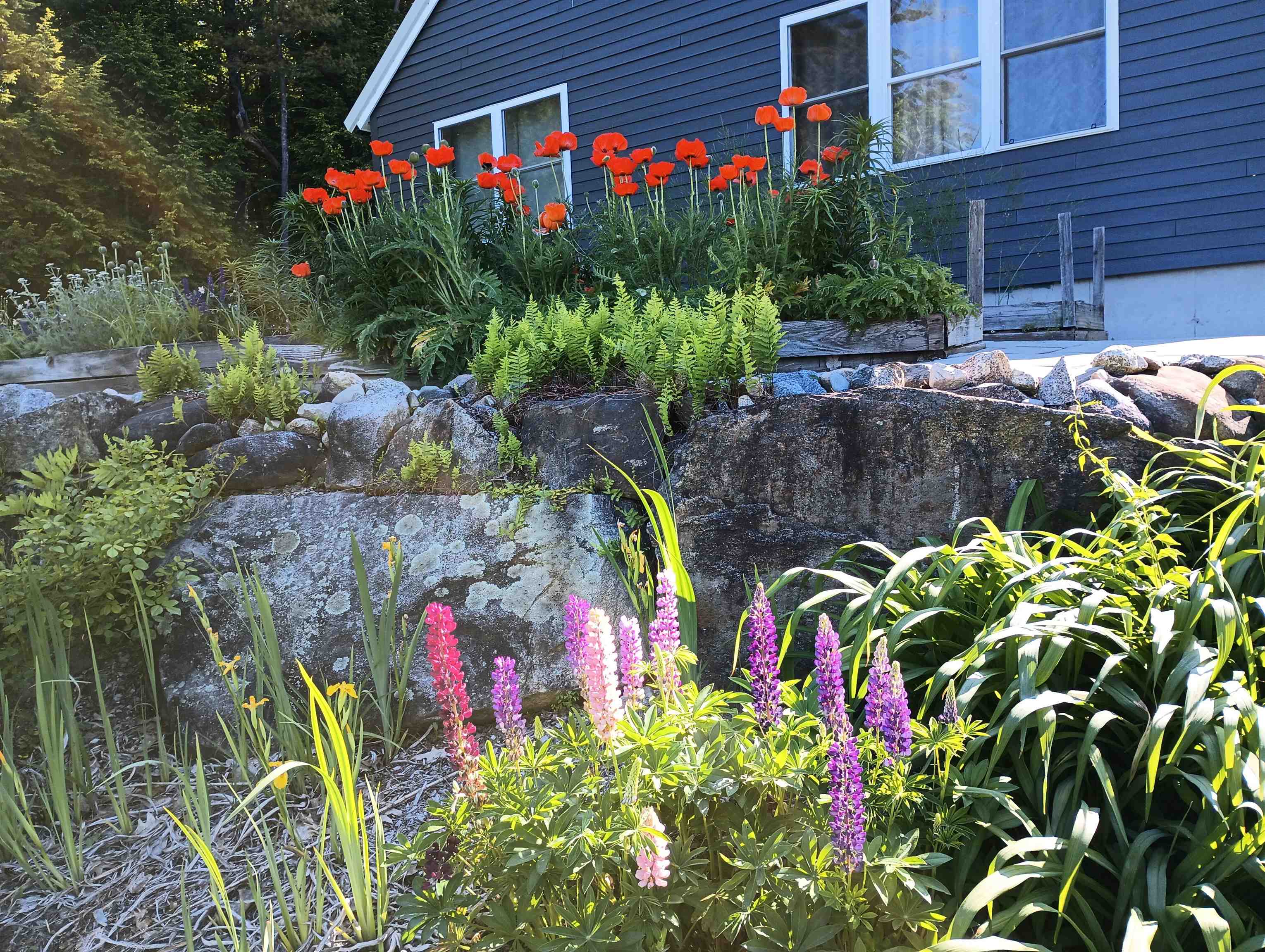 43 Lower Beech Hill Road Campton, NH 03223 - Photo 60 of 60 Gallery Image 60