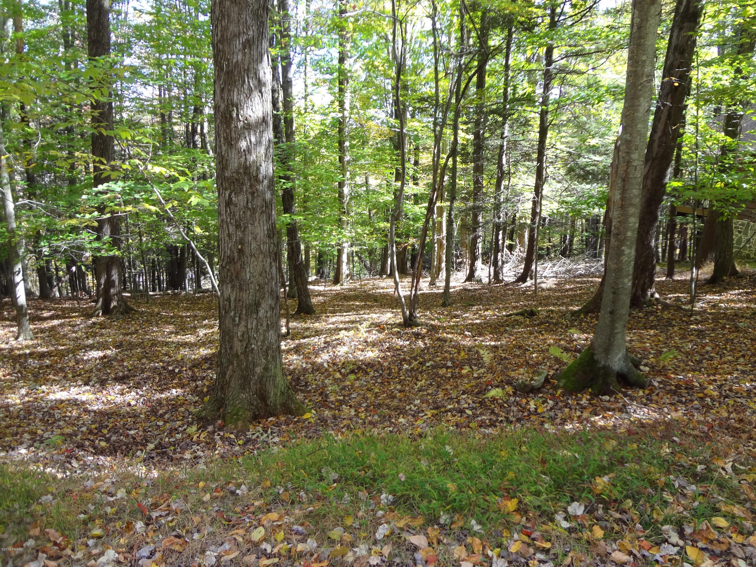 106 Deerfoot Road Lake Ariel, PA 18436 - Photo 38 of 51 Extra Lot .26 Included