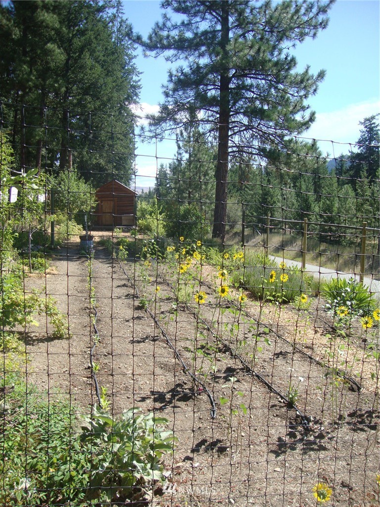 1094 Twisp River Road Twisp, WA 98856 - Photo 19 of 25 Gallery Image 19