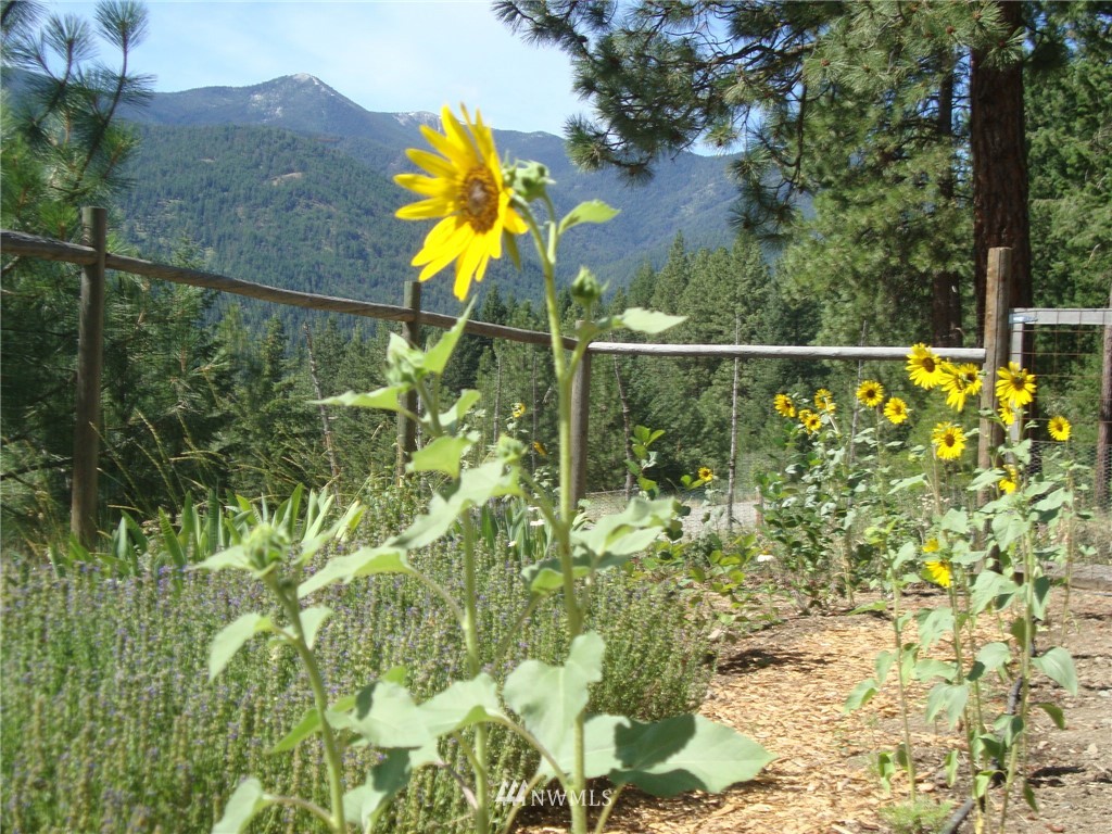 1094 Twisp River Road Twisp, WA 98856 - Photo 20 of 25 Gallery Image 20