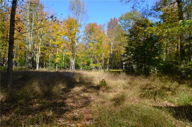 $65,000 | 10409 Benoit Drive, Croghan, NY 13327