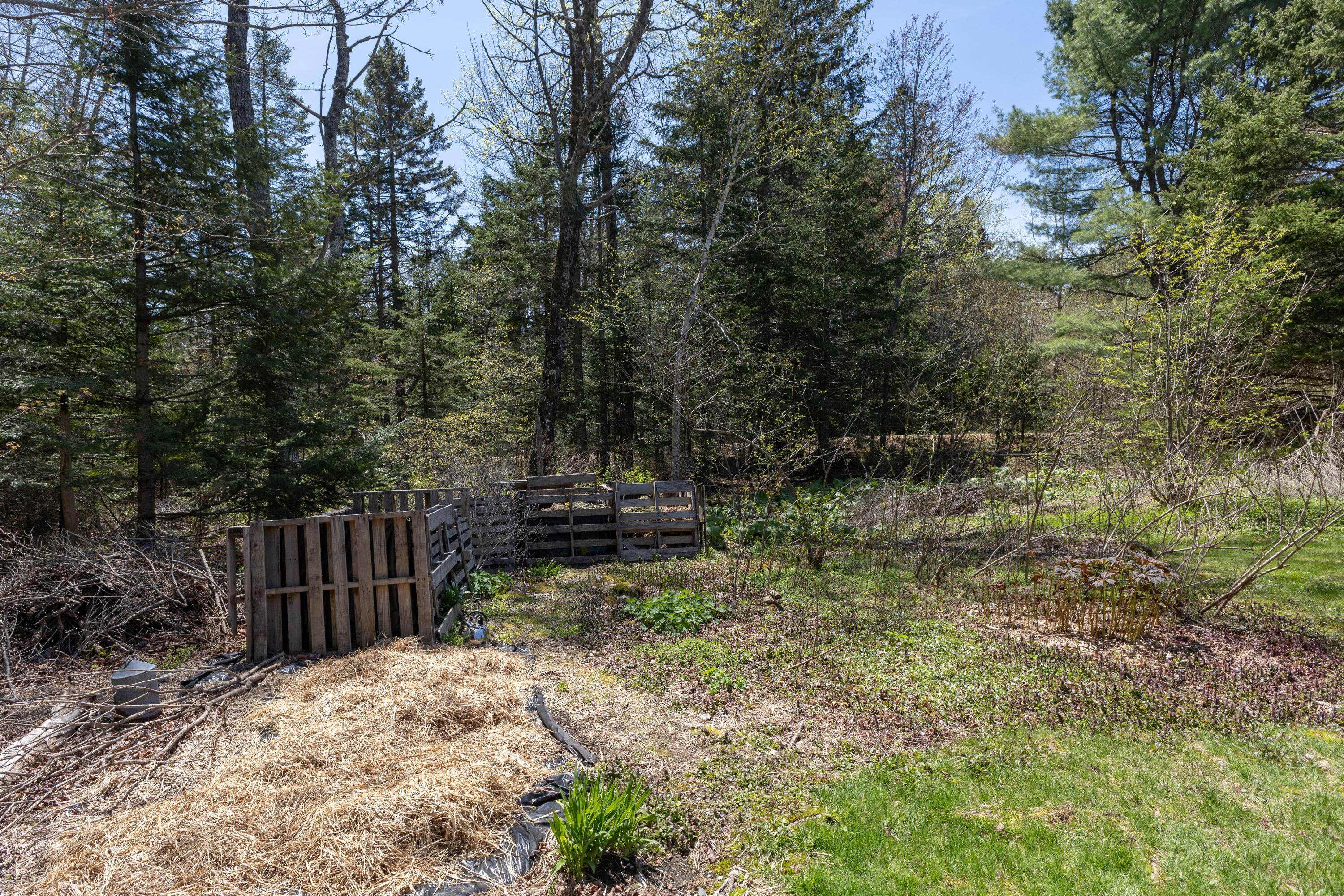 12 Bakers Point Road Steuben, ME 04680 - Photo 62 of 86 The asparagus bed.