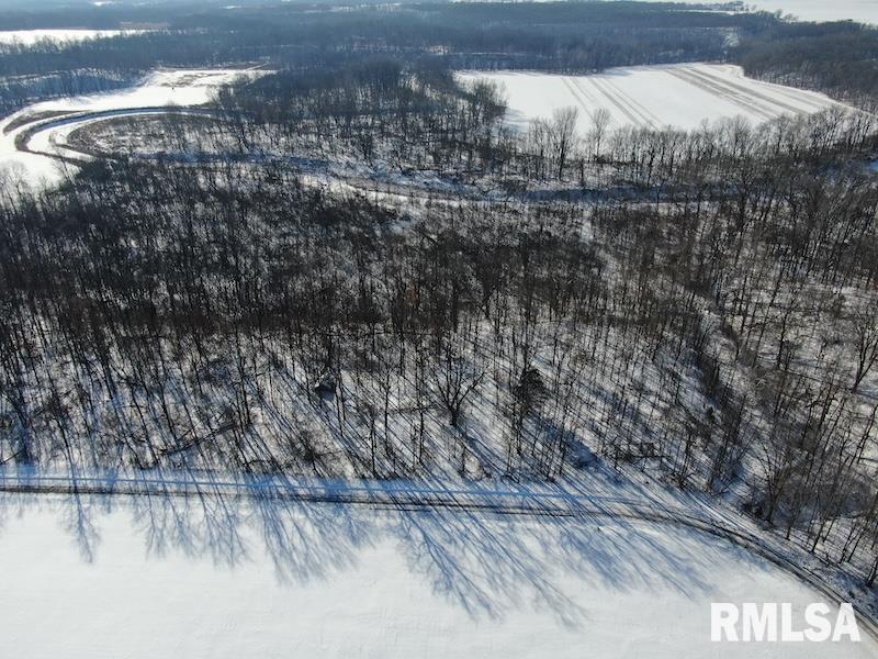 East 1550th Road Chrisman, IL 61924 - Photo 9 of 19