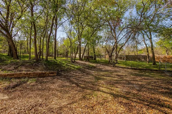 a view of backyard with table and chairs and a large tree