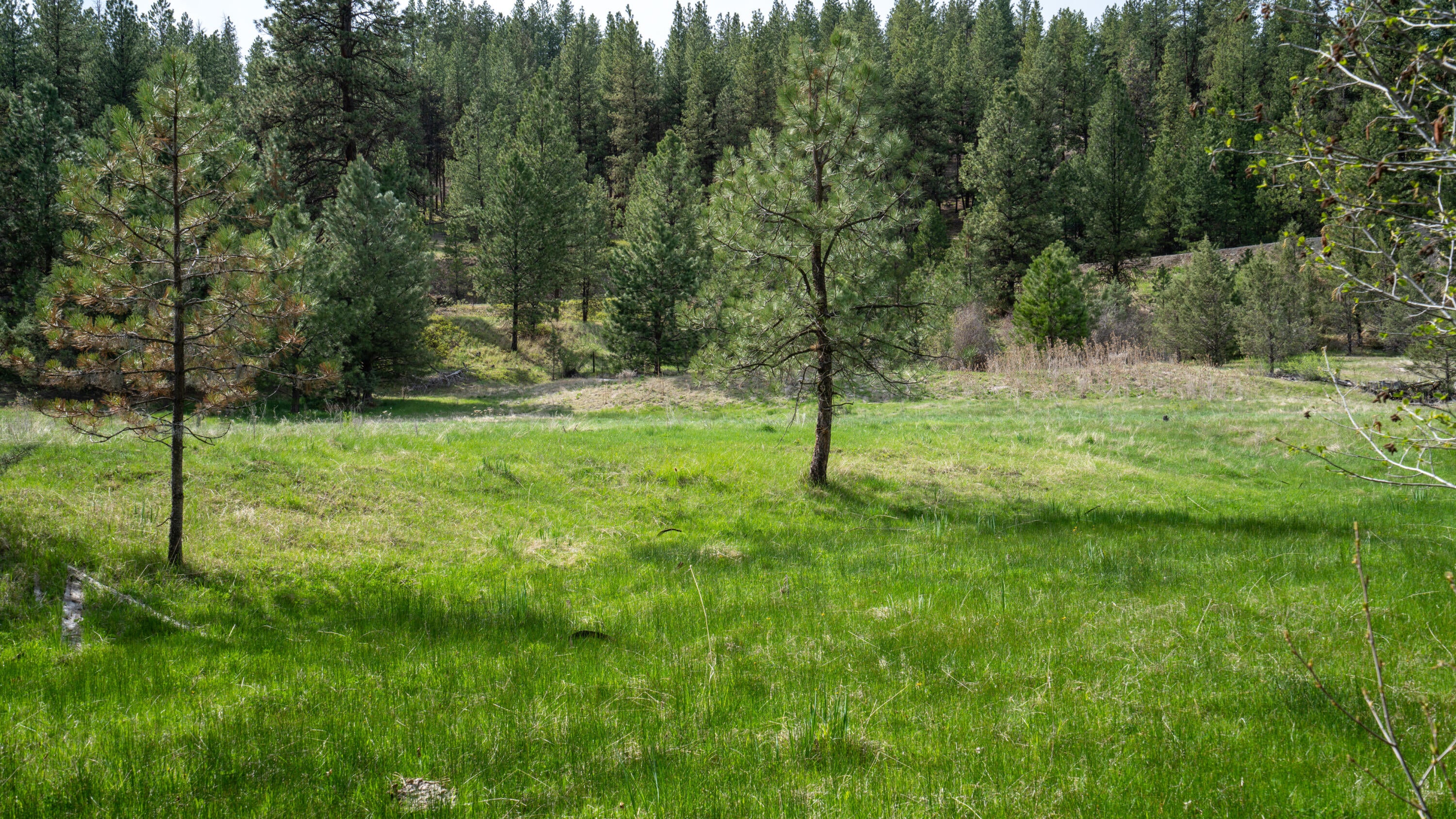 Keeney Fork Rd Prairie Prairie City, OR 97869 - Photo 1 of 61 Property
