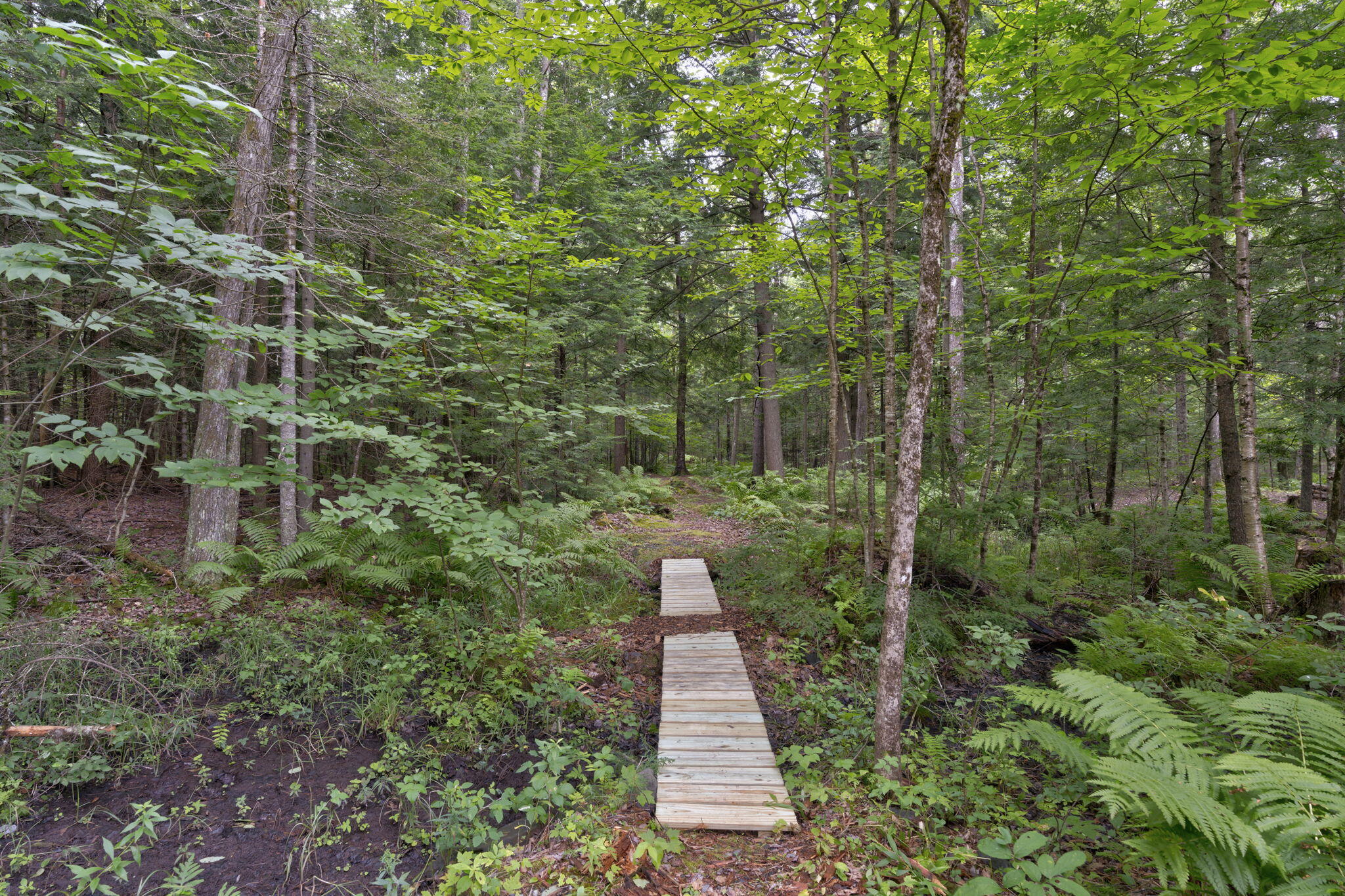 18 Bowie Hill Road Durham, ME 04222 - Photo 56 of 60 56-web-or-mls-18BowieHill-48