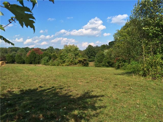 1505 East Ab Wade Road Portland, TN 37148 - Photo 5 of 11 view of more of the acreage.