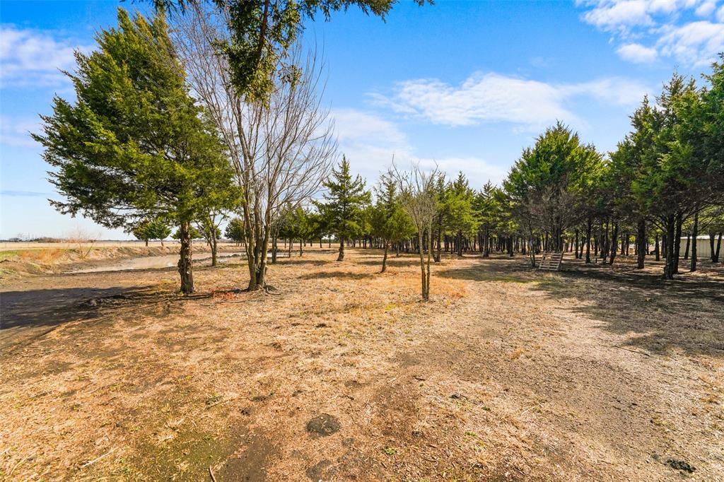 710 East Reindeer Road Lancaster, TX 75146 - Photo 14 of 23 a view of yard with trees