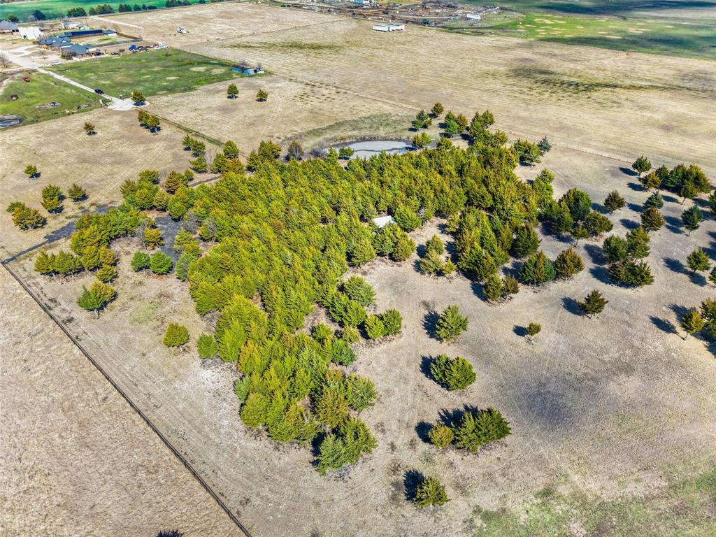 710 East Reindeer Road Lancaster, TX 75146 - Photo 21 of 23 a view of a garden with a flower in a yard