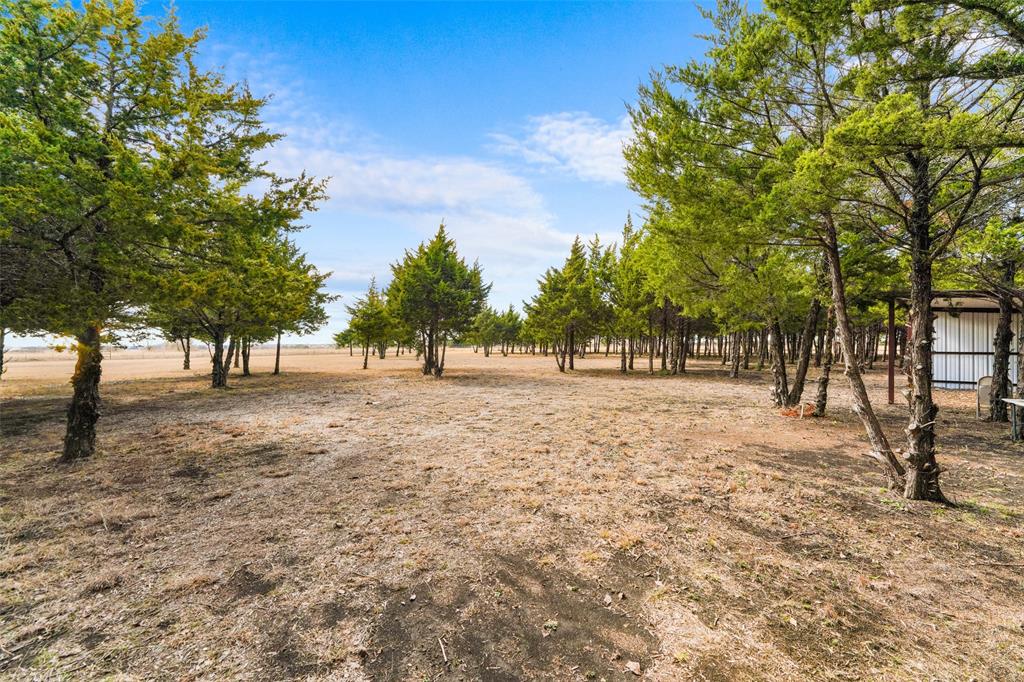 710 East Reindeer Road Lancaster, TX 75146 - Photo 5 of 23 a view of outdoor space with trees