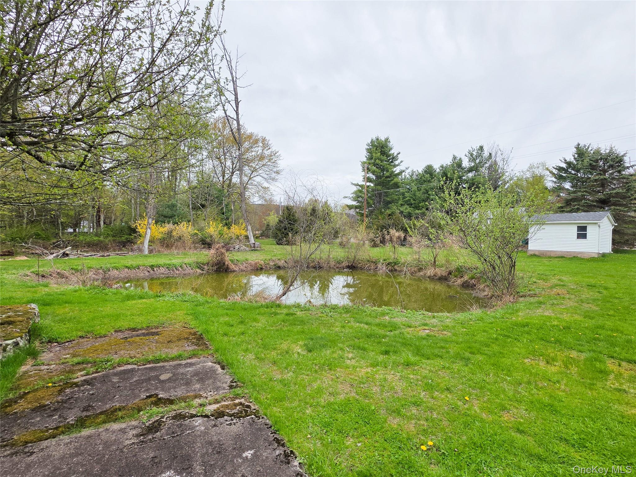 50 Low Road Neversink, NY 12740 - Photo 16 of 18