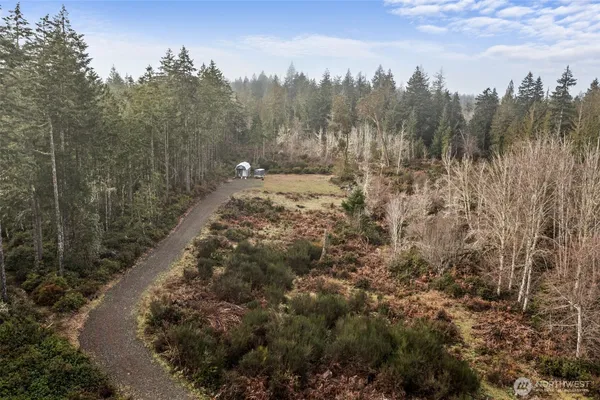 a view of a forest with trees