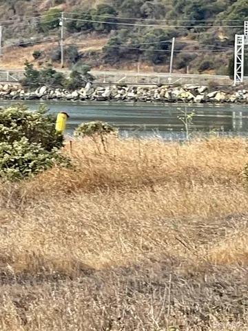 a view of a lake from a yard