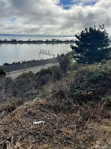 a view of a dry yard
