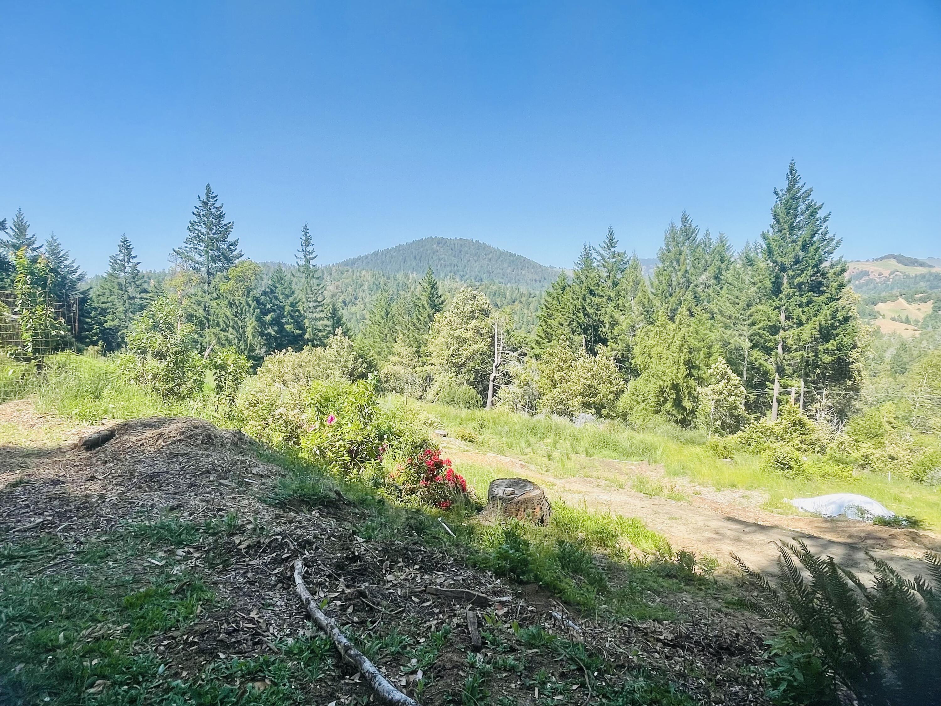 360 Graycliff Road Garberville, CA 95542 - Photo 60 of 63