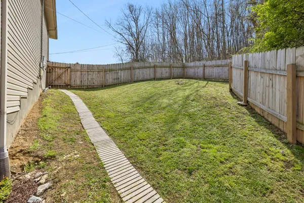 a view of a backyard