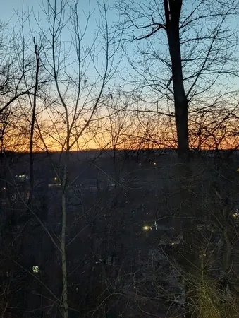 a view of mountain view with lots of trees