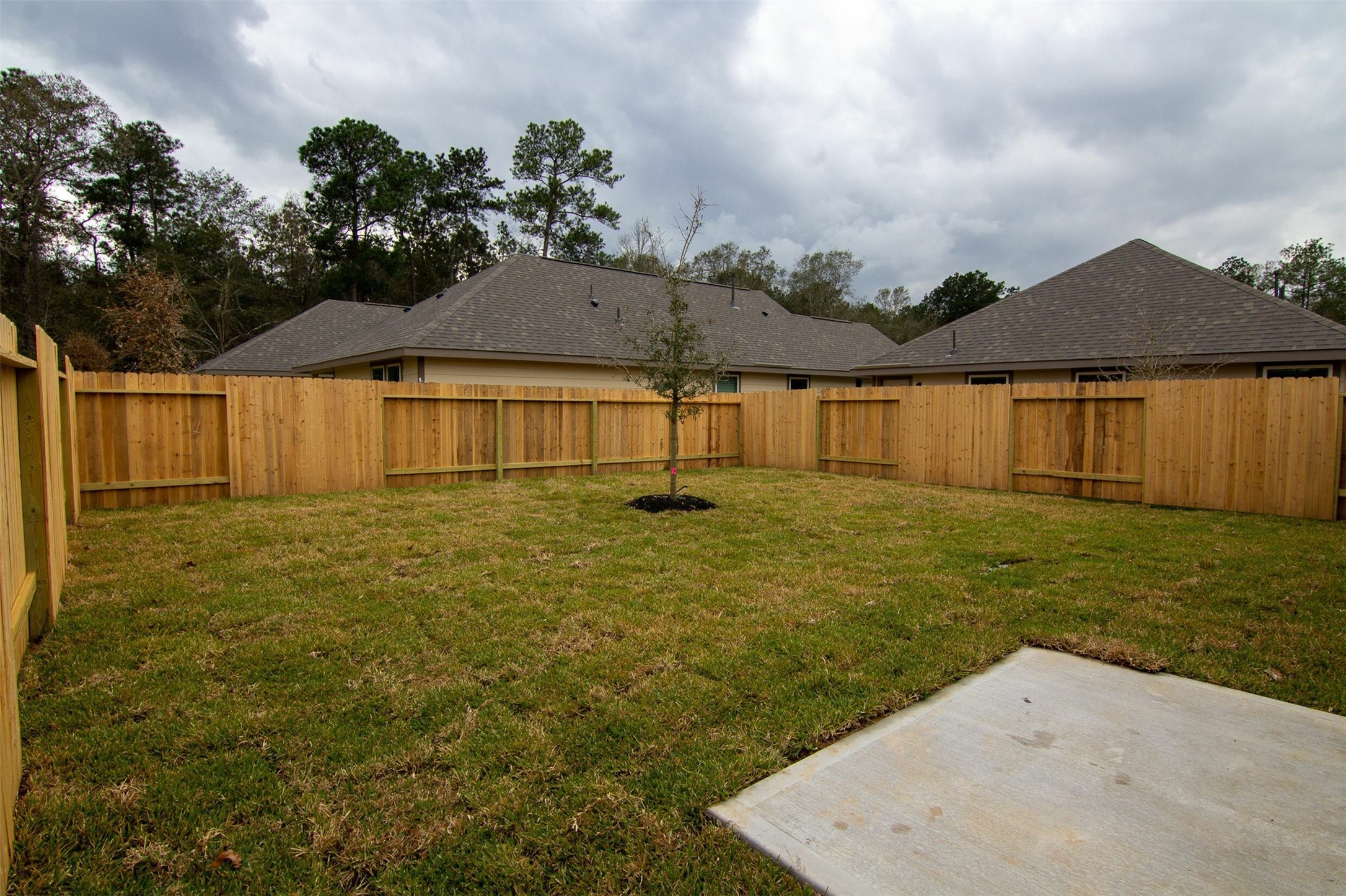3708 Alexus Drive Conroe, TX 77301 - Photo 3 of 20 a backyard of a house with lots of green space