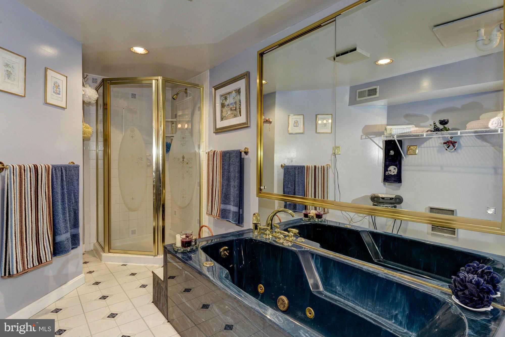 1868 Montevideo Road Hanover, MD 21076 - Photo 24 of 30 Jetted Tub I Separate Shower