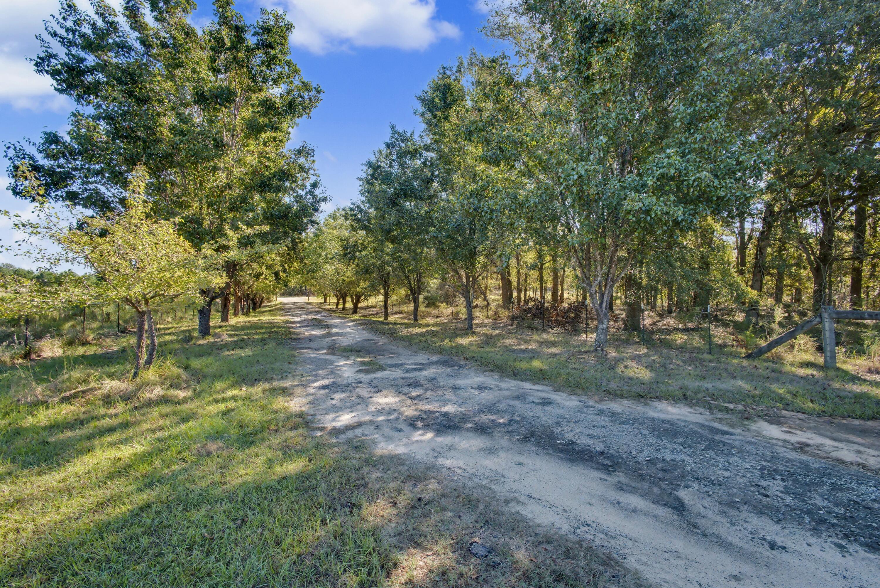 448 Blossom Road Barnwell, SC 29812 - Photo 38 of 39