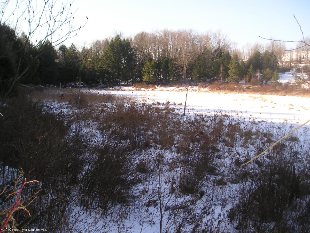 Farr Road Meshoppen, PA 18630 - Photo 2 of 4 land