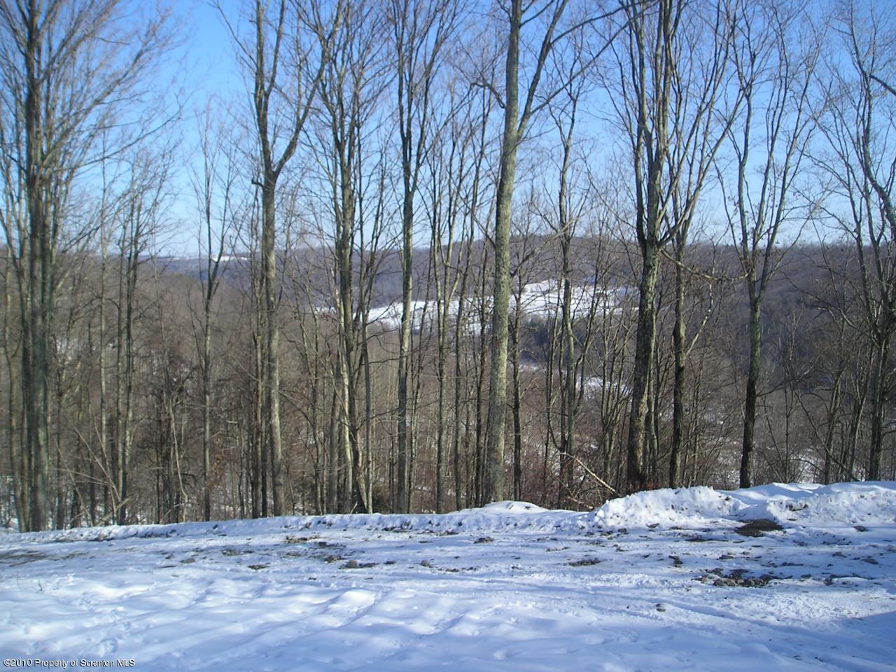 Farr Road Meshoppen, PA 18630 - Photo 4 of 4 Views