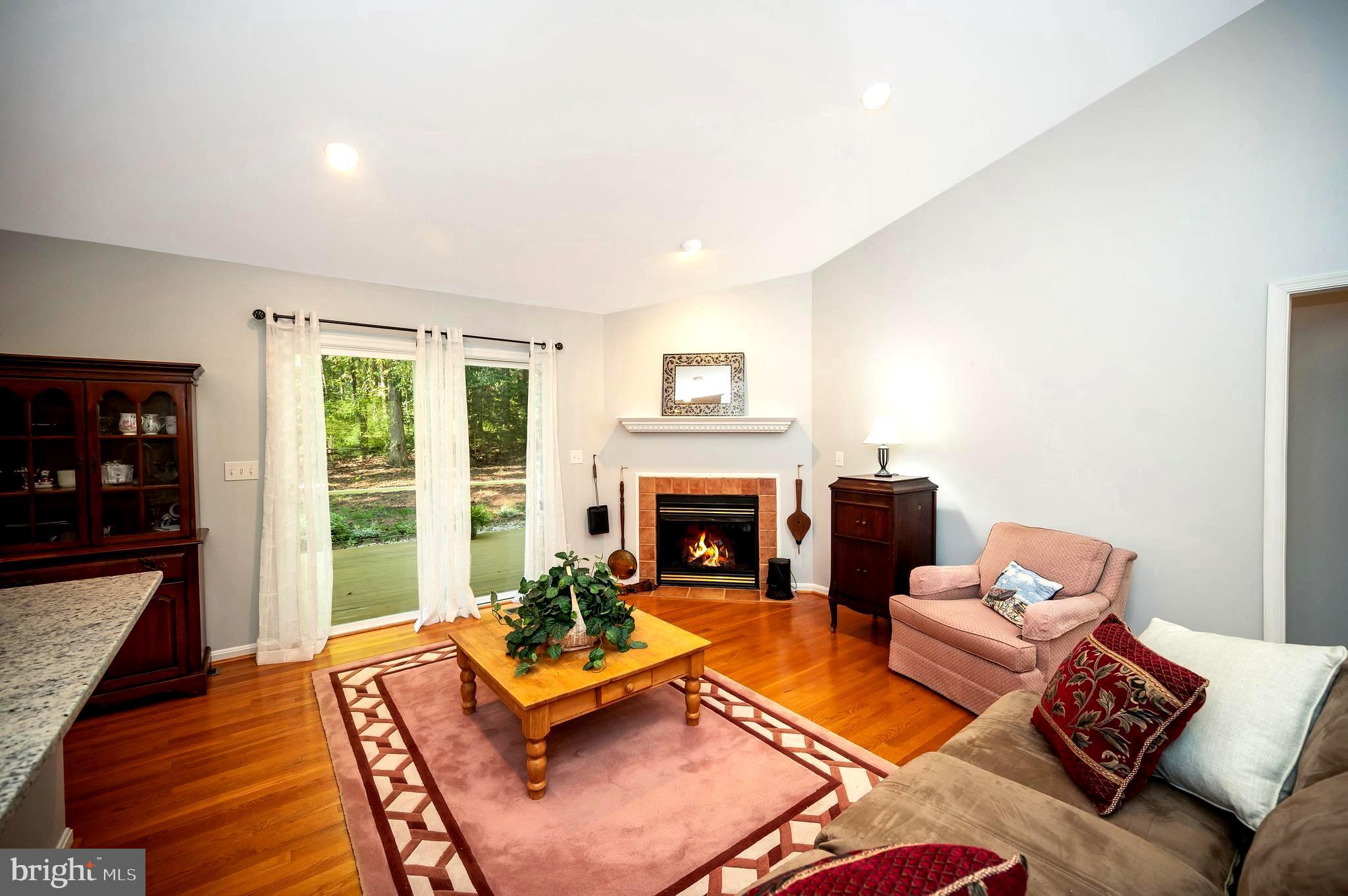 216 Battlefield Road Locust Grove, VA 22508 - Photo 12 of 61 Living room fireplace view