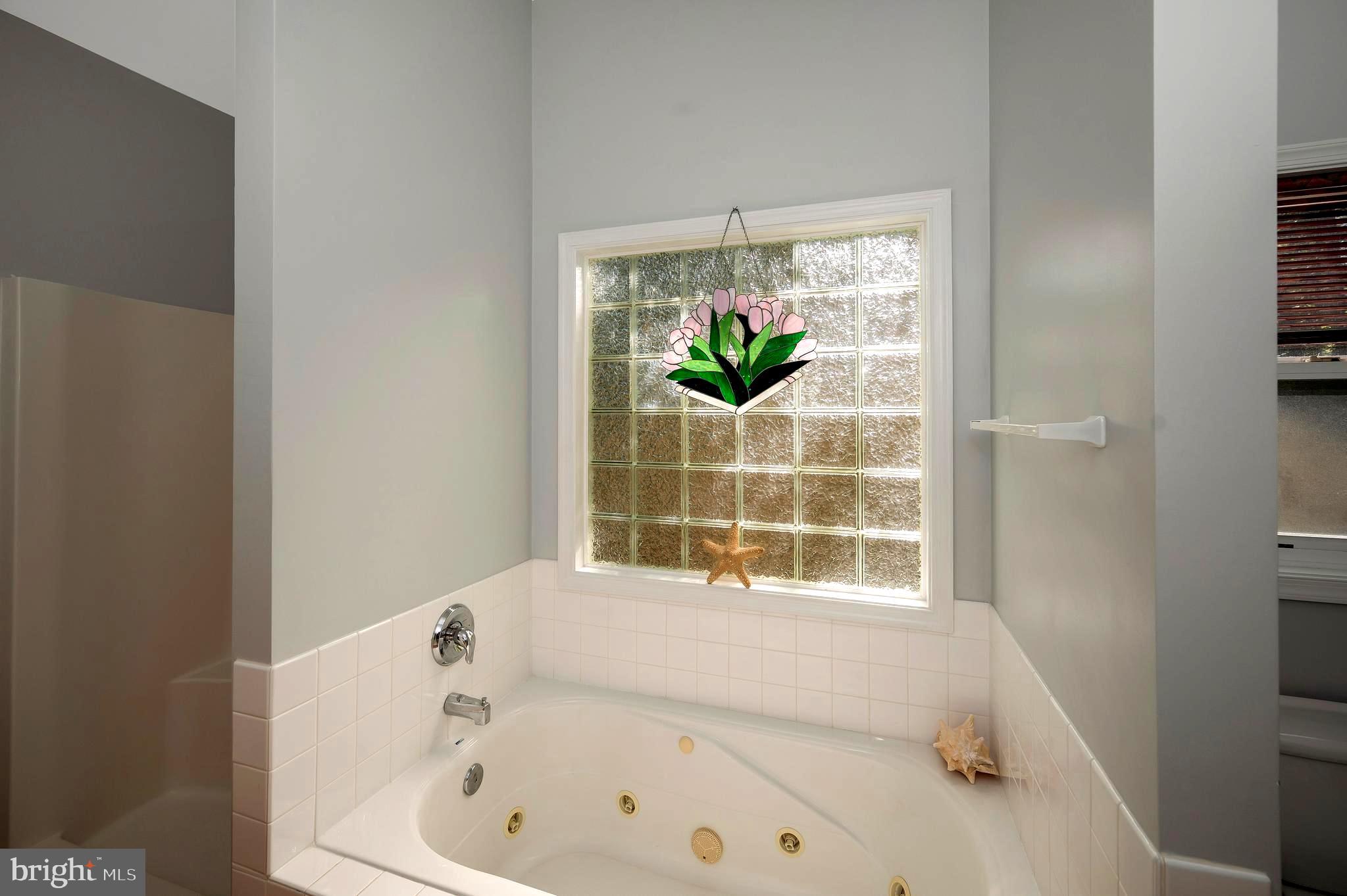 216 Battlefield Road Locust Grove, VA 22508 - Photo 28 of 61 Primary bath soaking tub w/jetts