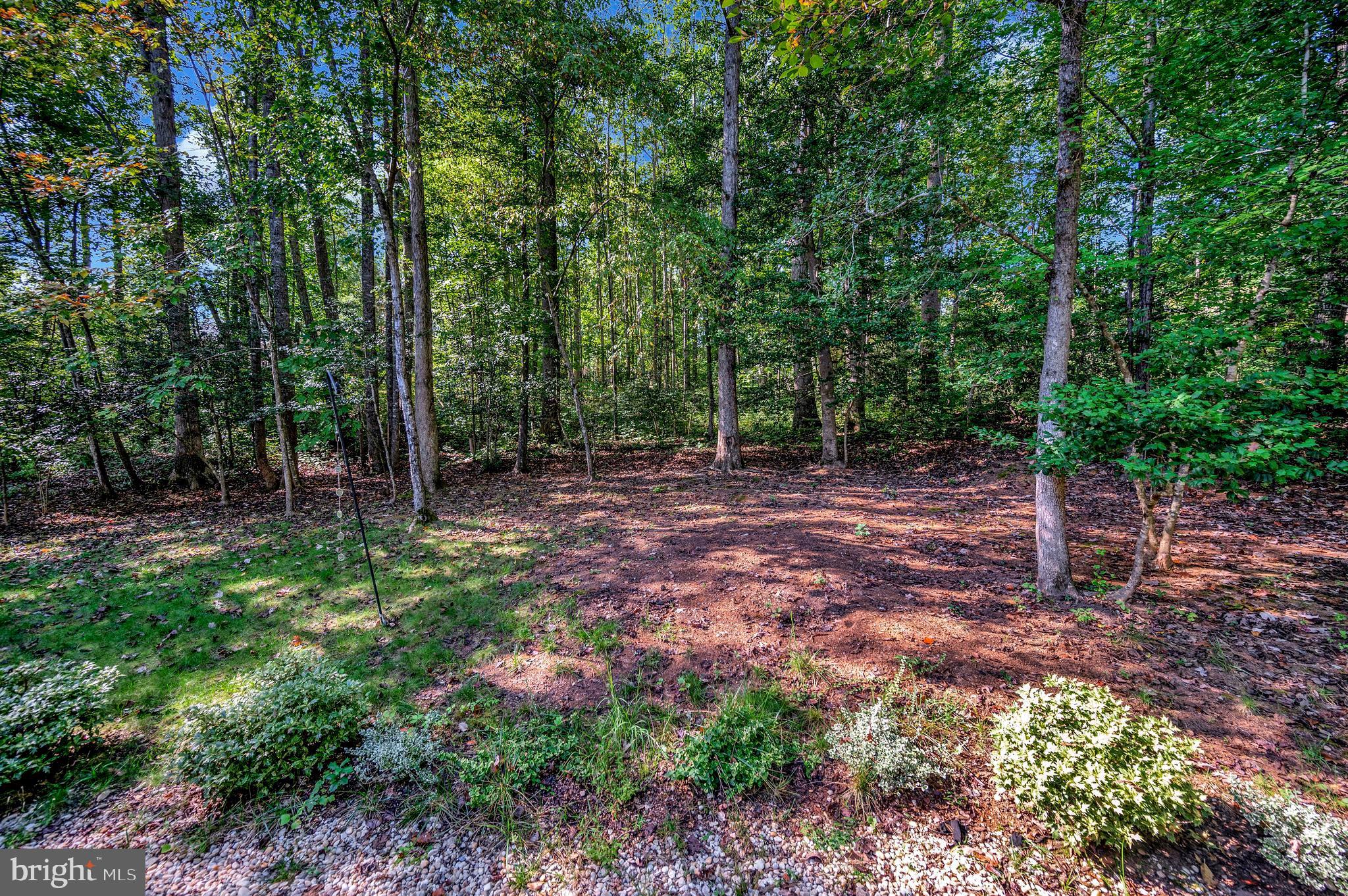 216 Battlefield Road Locust Grove, VA 22508 - Photo 39 of 61 Backyard backs to trees