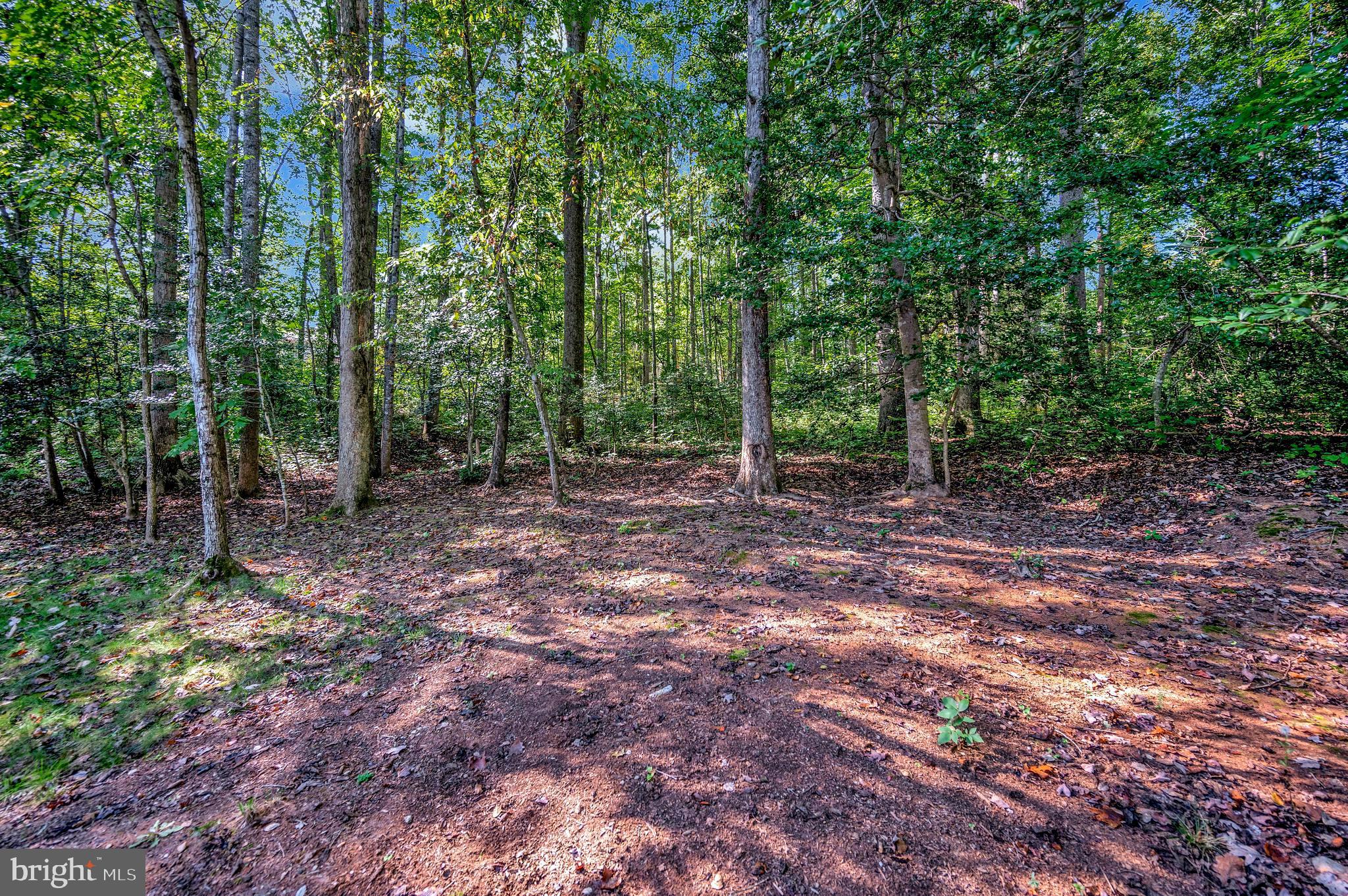 216 Battlefield Road Locust Grove, VA 22508 - Photo 42 of 61